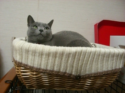 落ち着いた・・・