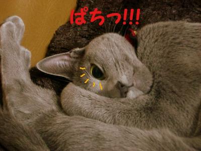 (o゜Д゜o)マッ!!!