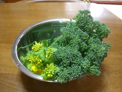 ブロッコリー＆菜の花