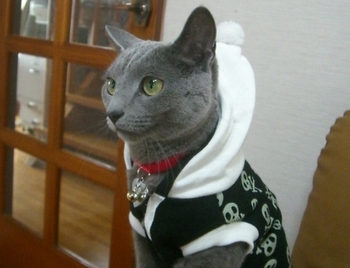 おすまししてるの？