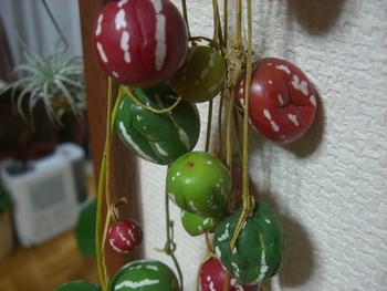 しわしわすずめうり～。