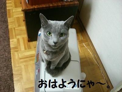 おはようにゃ～。