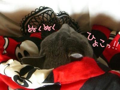 (ｏ´艸｀ｏ)ァハ♪