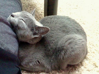 Σ(・艸・*)エェ!!