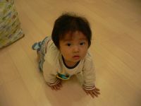 ハイハイ.jpg