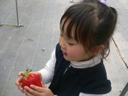 おっきなイチゴ.jpg