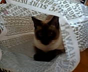 20080223125739.JPG