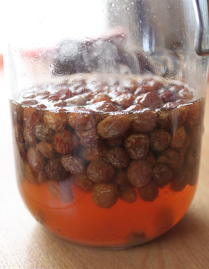 レーズン酵母２０１１