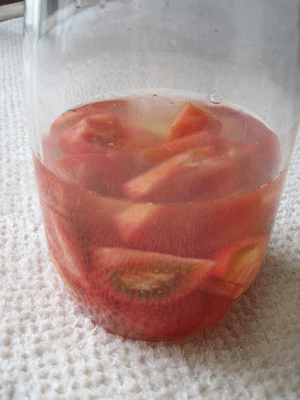 トマト酵母