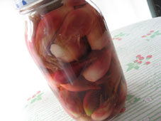 ミョウガの塩酢づけ