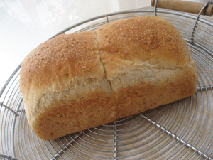 ヨーグルト酵母白ごまパン
