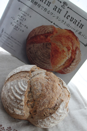 酵母カンパーニュ