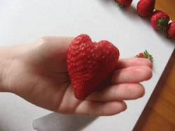 手作りケーキ３