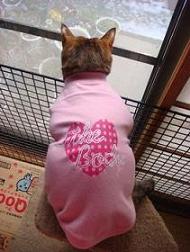 ピンクの洋服を着て外を眺めるルナ。ちゃん