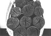 池田炭　（菊炭）