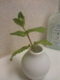 2010-05-28 12:59:52