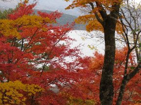 紅葉狩り