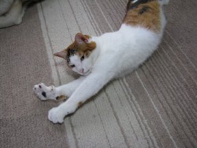 びよ～ん