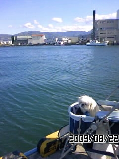 otaru3.JPG