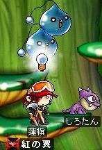 木のダンジョン4