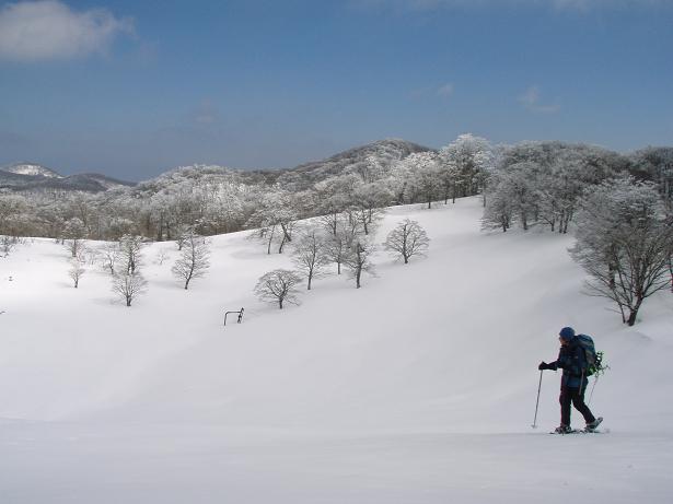 前山から