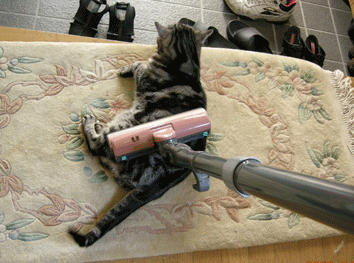 あー掃除機　後姿