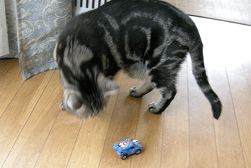 あーハッピーセット２