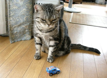 あーハッピーセット３