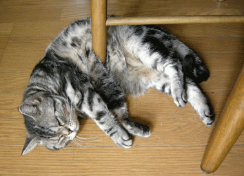 あー寝る椅子足１