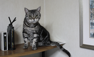 あーラック　２