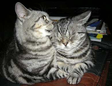 あーくーまったり２