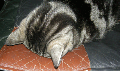 あー寝る顔付け２