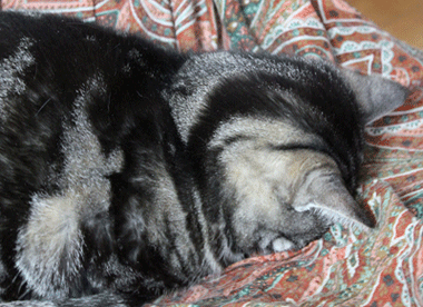 あー寝るイス３