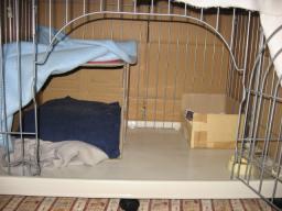 ke-ji1