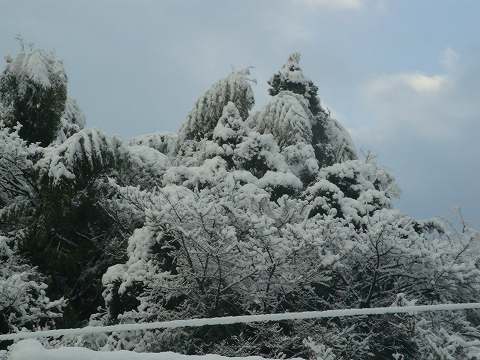 ２０１０年大雪