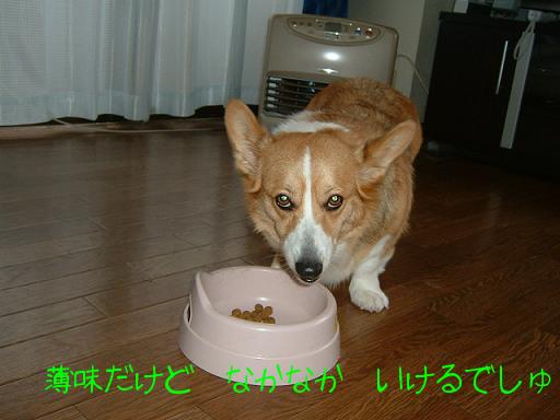 。トリミングに行って来ました 002.JPG