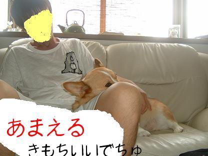 ２人ライチとカレン元気です。 040.JPG