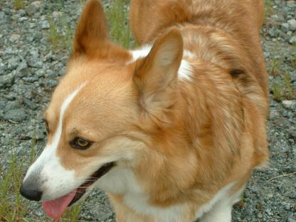 松阪漁港で！ 012.JPG