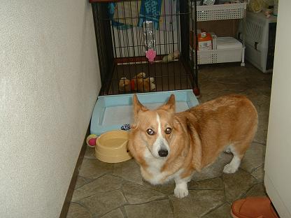 松阪漁港で！ 020.JPG