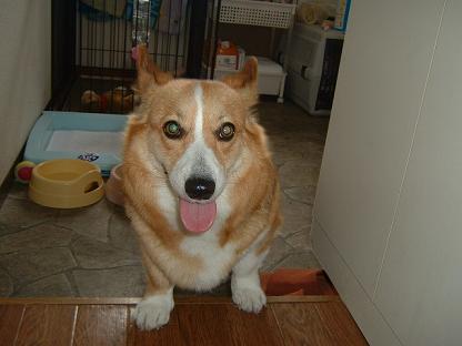 松阪漁港で！ 027.JPG