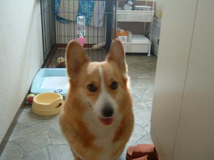 松阪漁港で！ 028.JPG