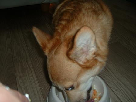 ４さいのお誕生日ライチ 007.JPG