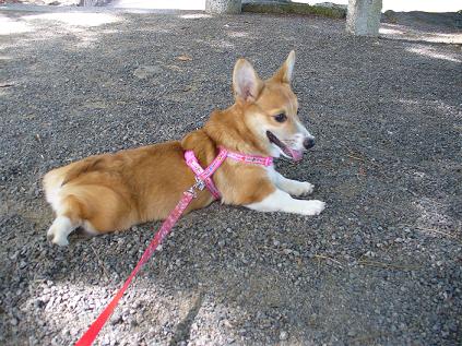 トリミング 013.JPG