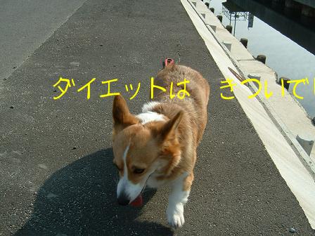 新しい服 010.JPG