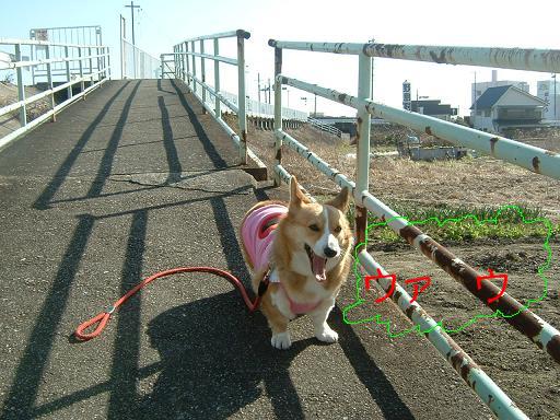 もうすぐ春だよ 009.JPG