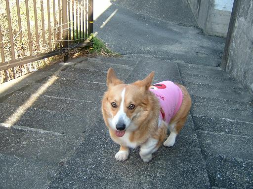 もうすぐ春だよ 015.JPG