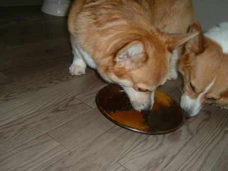 ４さいのお誕生日ライチ 017.JPG