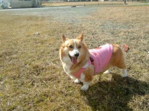 もうすぐ春だよ 018.JPG