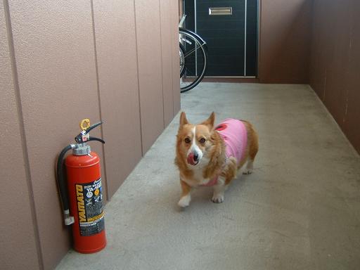 もうすぐ春だよ 023.JPG