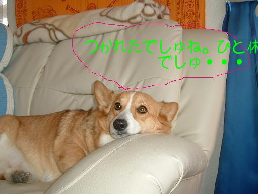 もうすぐ春だよ 027.JPG